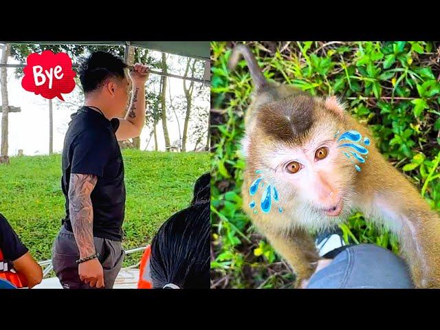 Monkey Kaka's Emotional Farewell: Saying Goodbye to Dad