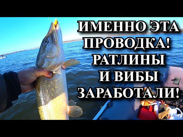 Делай такую проводку. Вибы и ратлины будут работать. Ловля щуки поздней осенью!