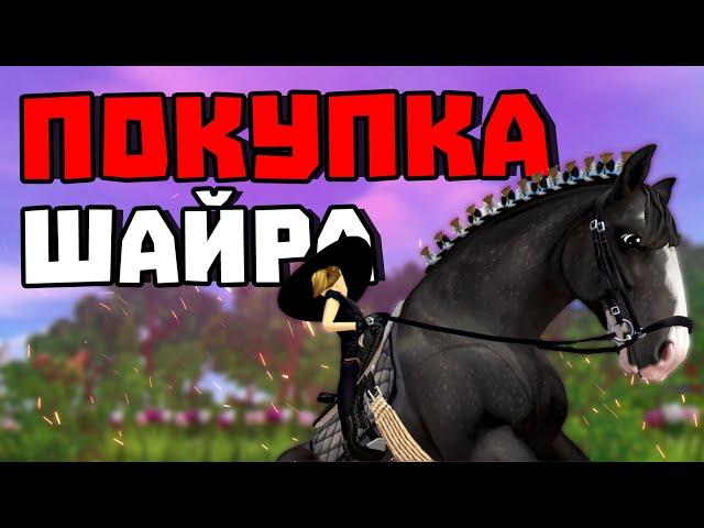 ПОКУПКА 2 НОВЫХ ШАЙРОВ | МНЕНИЕ О НОВЫХ ЕДИНОРОГАХ | ПИНТАБИАНА ПОФИКСИЛИ? | Star Stable