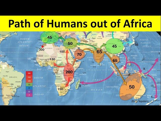 Map of Human Migration out of Africa