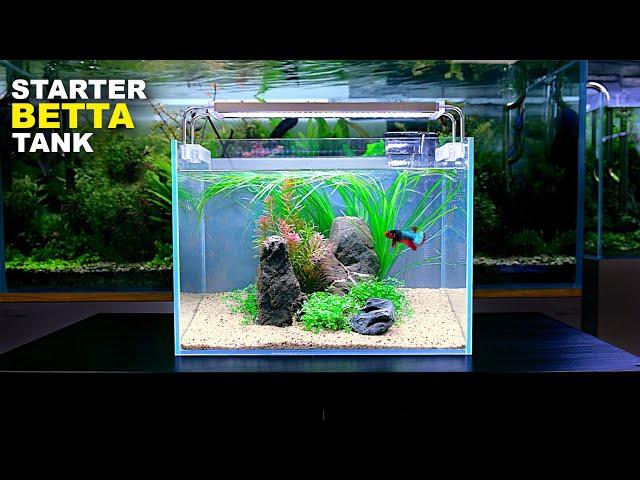 Aquascape Tutorial: ULTIMATE BETTA Nano Tank For Beginners (How To No co2 Planted Tank Step by Step)