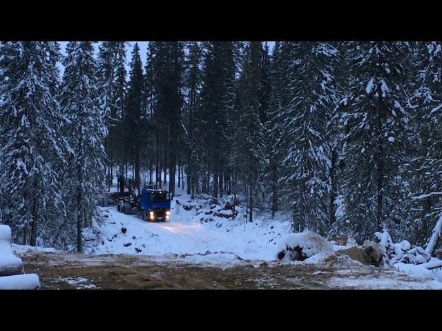 По лесовозной дороги на лесовозе.