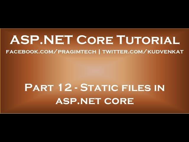 Static files in asp net core