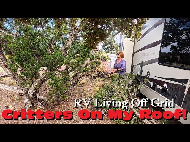 What You Been Waiting For! My Plans For Home Base & What's Working & Not After Winter | RV Off Grid