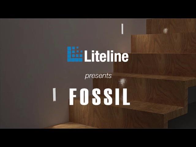 Introducing Liteline's FOSSIL Fixture