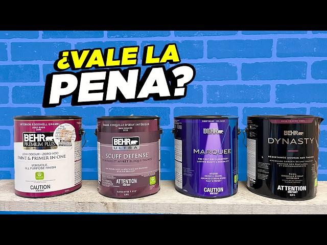 Comparando 4 tipos de pintura de Home Depot | No desperdicies tu dinero $$$