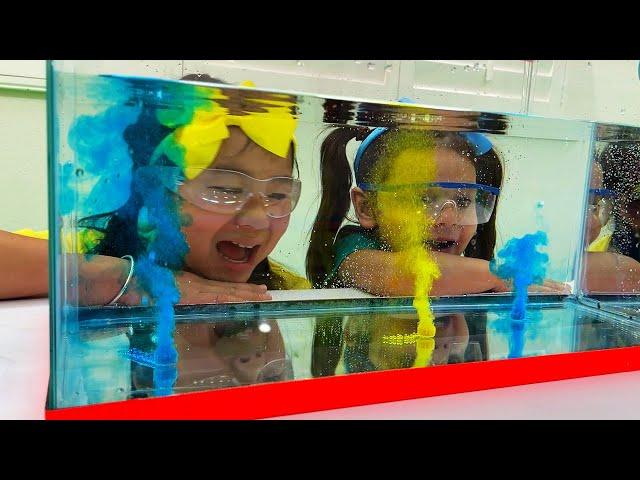 Jannie and Ellie Sink or Float Home DIY Science Experiments for Kids | Science Projects Videos