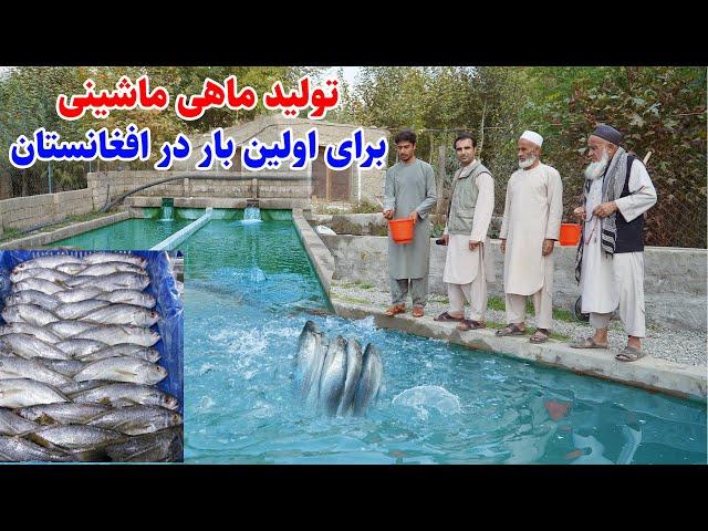 تولید ماهی توسط ماشین، برای اولین بار در افغانستان، قصه های بدخشانی Badakhshan Afghanistan