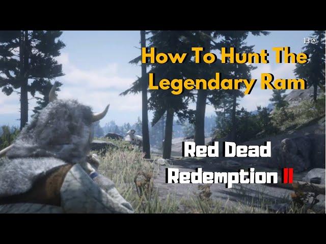 How To Find And Kill Legendary Ram Red Dead Redemption 2
