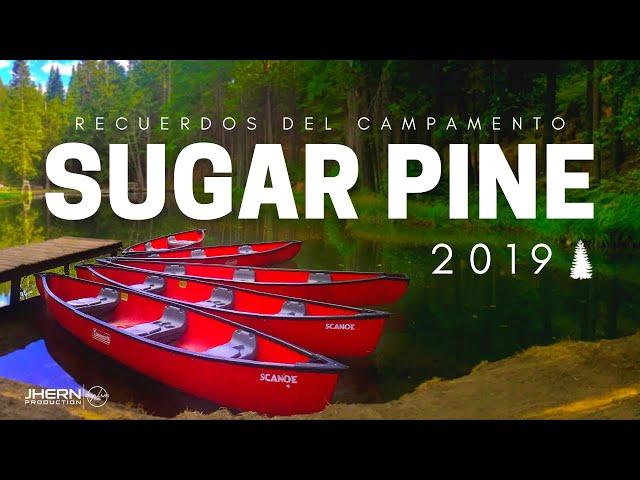 Recuerdos del Campamento "Sugar Pine" 2019