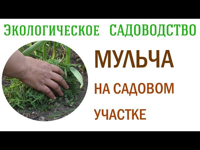 Мульча на садовом участке. Видеолекция