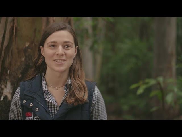 Protecting Koalas on the North Coast, NSW