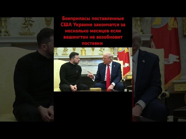 #putin #donaldtrump #война #сво #мир #slavaskripka #бобр #зимнийсон  #скрипкаслава #putin