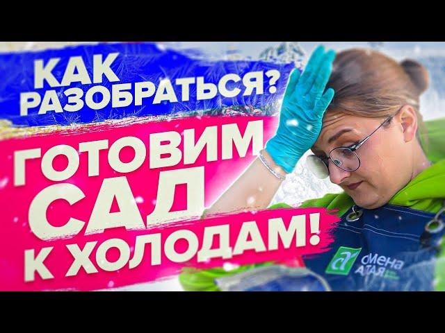 ГОТОВИМ РАСТЕНИЯ К ЗИМЕ! Чем обработать сад сейчас?