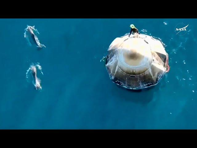 Dolphins welcome SpaceX Crew-9 Dragon spacecraft off coast of Florida after splashdown