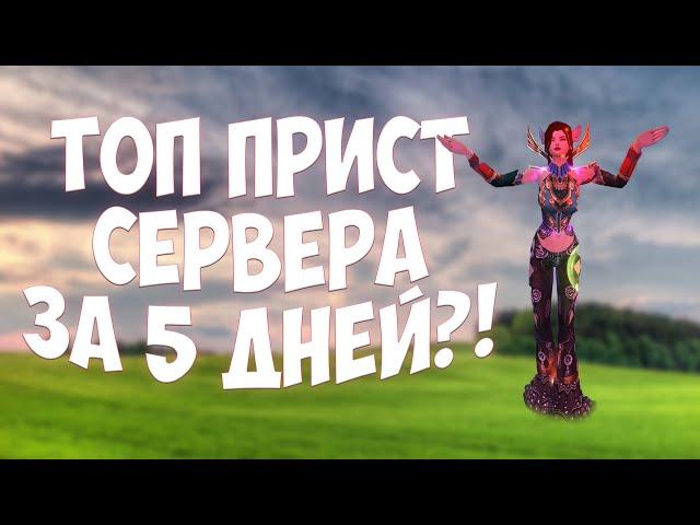 СДЕЛАЛ ТОП ПРИСТА СЕРВЕРА ЗА 5 ДНЕЙ! МОЙ ПЕРВЫЙ ТАЙ ШАНГ НА 1.4.6 | Perfect World 2023