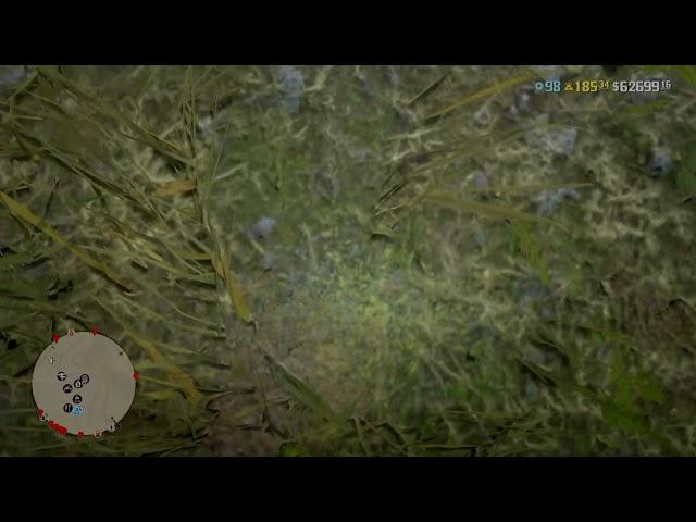 rdr2 online don't eat the common bulrush