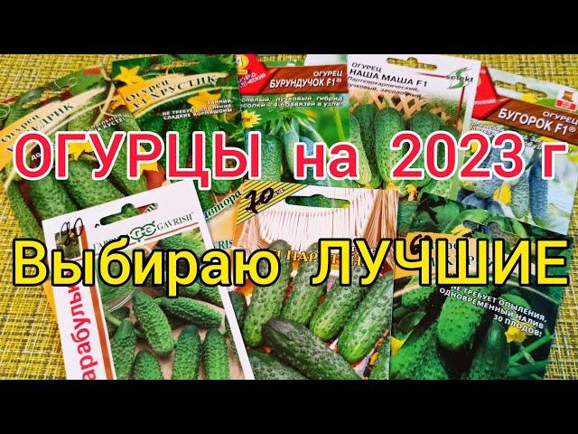 Обзор НОВЫХ гибридов ОГУРЦОВ.Сезон 2023. Где я покупаю семена.