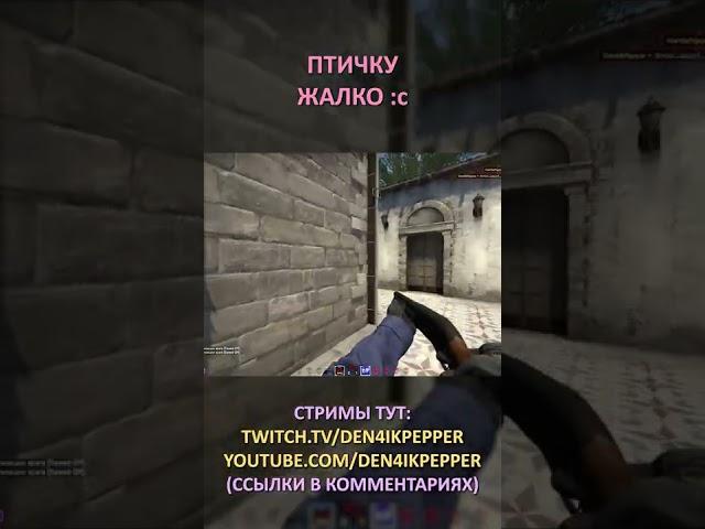 Twitch: Den4ikPepper (ПТИЧКУ ЖАЛКО :c) CS:GO SHORTS #shorts