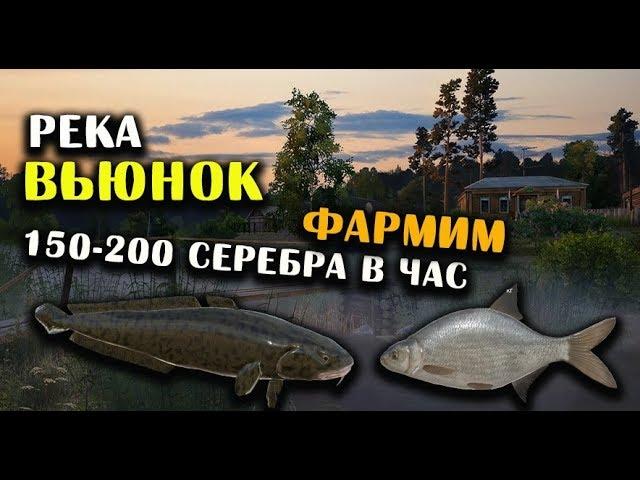 РУССКАЯ РЫБАЛКА 4. Фарм серебра на Вьюнке. Лещ, Налим и Подуст на реке Вьюнок.