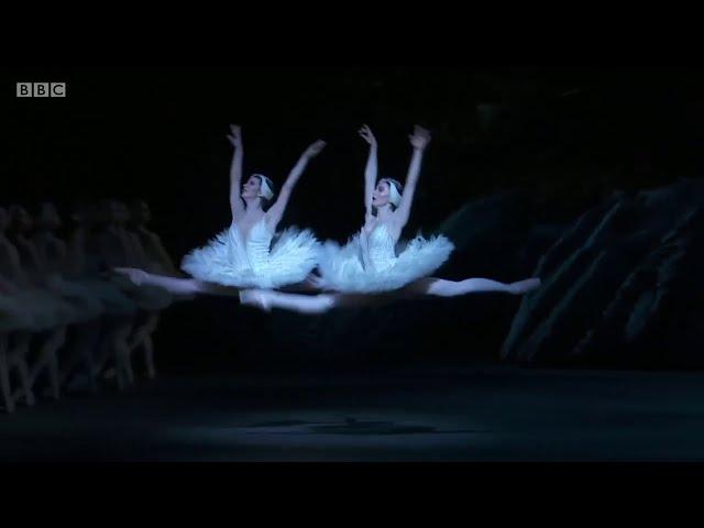 Swan Lake Dance of the Big Swans - Mayara Magri and Claire Calvert