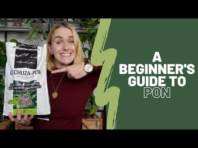 A beginner's guide to PON 🪨🪴| What is it, how to use it, PON vs. LECA