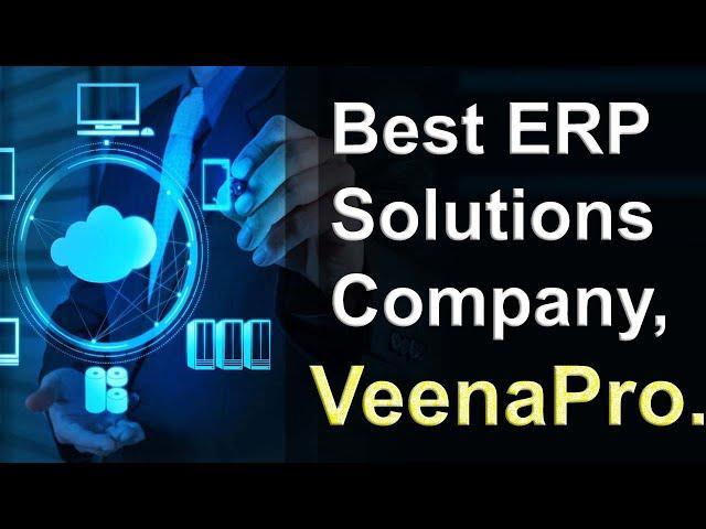 ERP solution software, VeenaPro.  ERP software solution.