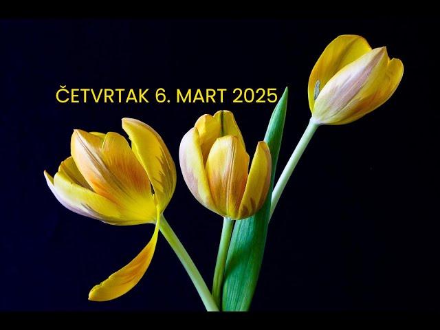 DANAS JE VEĆ LAKŠE | ČETVRTAK 6. MART 2025 | DNEVNO TAROT OTVARANJE