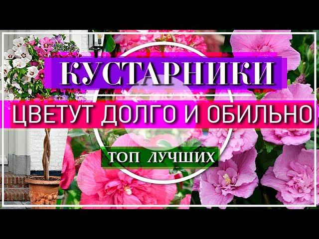 ТОП 5 Самых МОДНЫХ Цветущих Кустарников - НАХОДКА для Вашего Сада