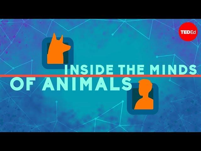 Inside the minds of animals - Bryan B Rasmussen