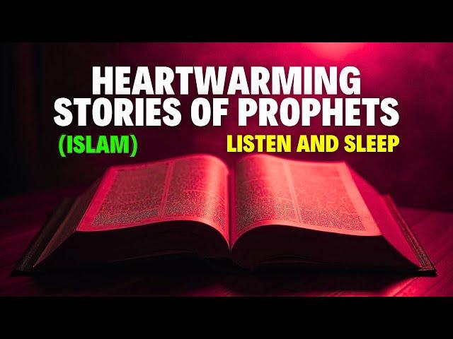 6 Inspiring Quranic Stories of Prophets with Soothing Rain Sounds | Perfect for Relaxation & Sleep