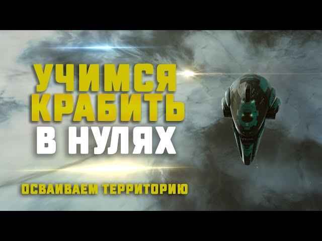 EVE Online. УЧИМСЯ КРАБИТЬ В НУЛЯХ. Какой заработок?