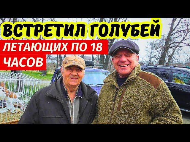 ЯРМАРКА ГОЛУБЕЙ Обзор г.Павлоград 22.03.2025 Цены Продажа Голуби ▶ 1-я часть