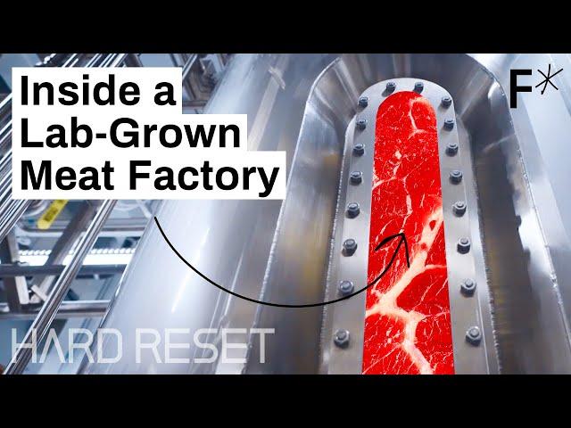 Large-scale, lab-grown meat: Step inside a cultivated meat factory | Hard Reset