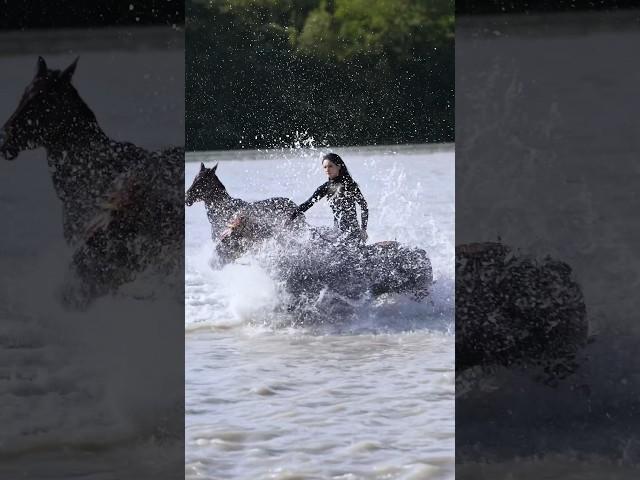 The wind has its own freedom.️#doris #taotaoaima #horseriding #horsevideo #horseride #horserider