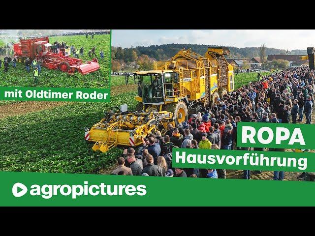 ROPA Hausvorführung 2022 | Zuckerrübenernte und Kartoffelroder | XXL Landmaschinen im Einsatz