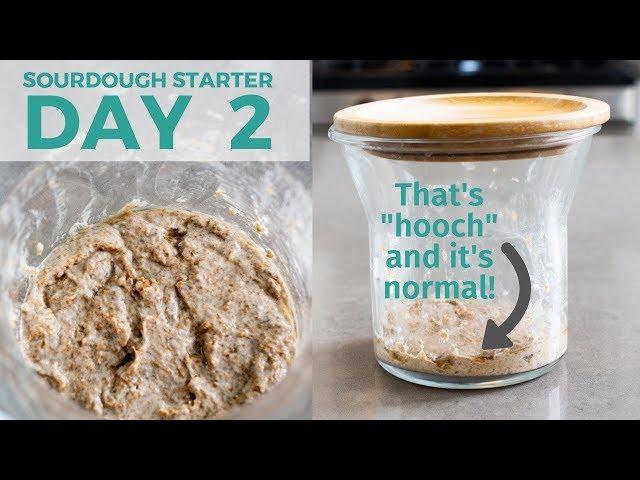 Day 2: How to Make a Sourdough Starter