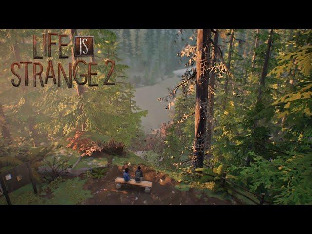 Relaxing Life Is Strange 2 Music || Winter Ambience