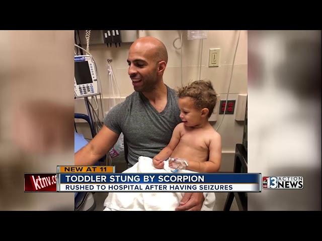 Parents share warning about pests after toddler rushed to hospital for scorpion sting