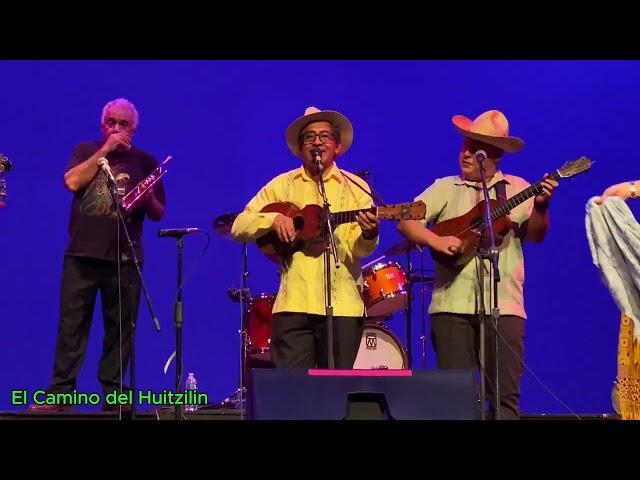 Concierto fandango en el muro (la bamba Xalapa,Veracruz)