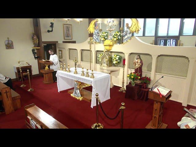 Daily Readings and Homily - 2025-06-15 - Fr. Matthew