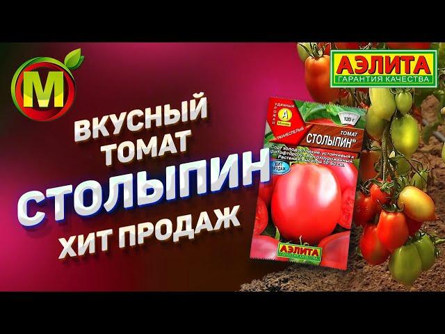  Сорт Томата 2021 года. Вкусный Томат - Столыпин.