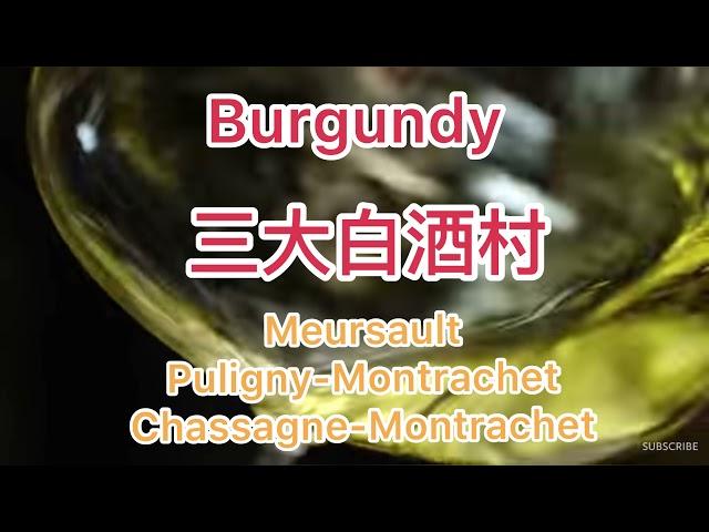 粵語中字 | Burgundy 三大白酒村 | 貓鬚 |Montrachet | Chardonnay