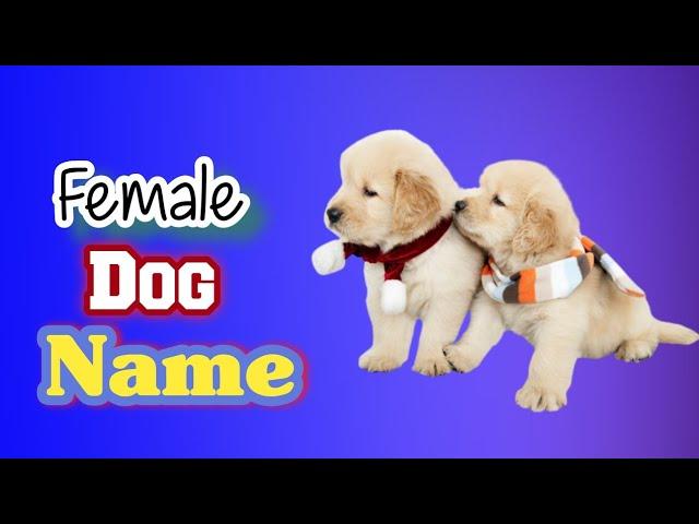 Top Unique Female Dog Name | 80 name for Dog Girls