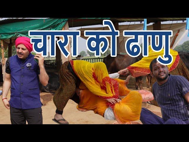 टिया घाल दी चारा को ढाणु | Rajasthani Comedy | Marwadi comedy | Thairkya Films