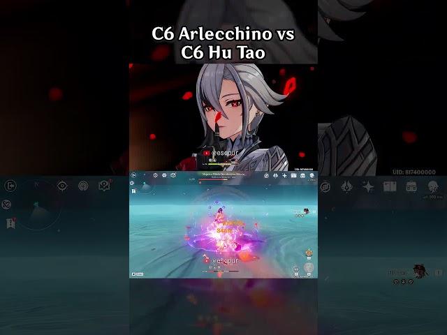 C6 ARLECCHINO VS C6 HU TAO