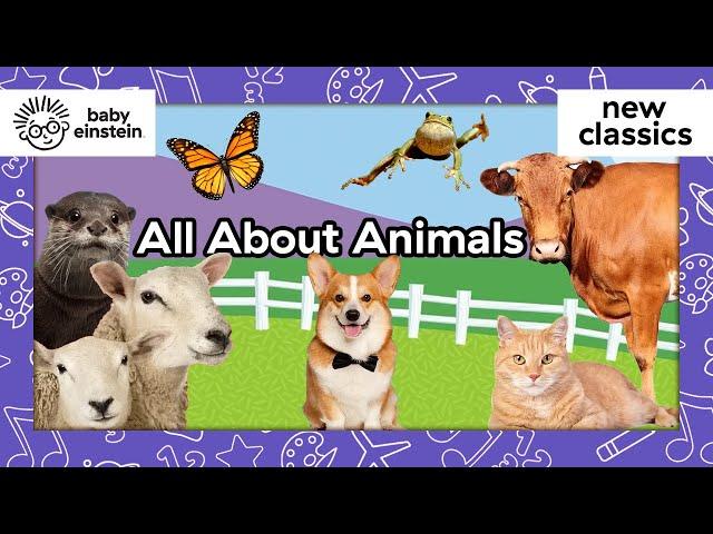 All Creatures Great and Small Compilation | Baby Einstein | Learning Show for Toddler | Kid Cartoons