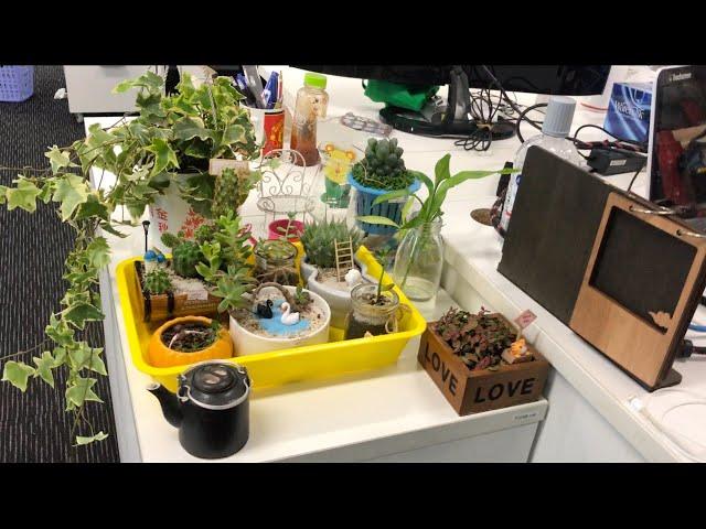 Amazing Renovating My Mini Garden | Le Tuan Home Design