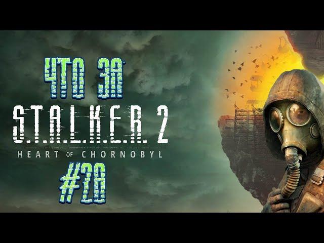 Что за  S.T.A.L.K.E.R. 2: Heart of Chornobyl #28