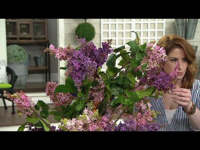 Barbara King 2-Piece Reblooming Lilac Josee on QVC